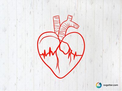 Anatomical Heart with Heartbeat, Best for medical professionals, best on t-shirt, best to be applied with screen printing