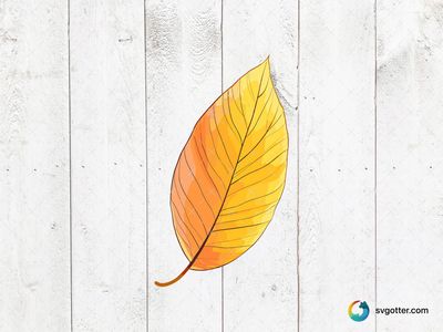 Autumn Leaf Illustration, Best for artists, best on wall art, best to be applied with print and cut