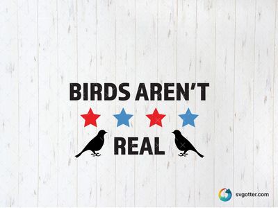 Birds Aren't Real Meme, Best for humor enthusiasts, best on t-shirt, best to be applied with screen printing