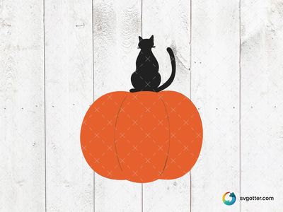 Black Cat on Pumpkin, Best for Halloween enthusiasts, best on t-shirt, best to be applied with heat transfer vinyl