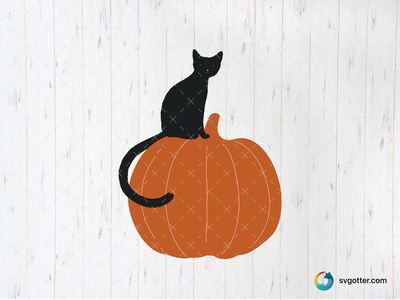 Black Cat on Pumpkin, Best for Halloween enthusiasts, best on t-shirt, best to be applied with heat transfer vinyl