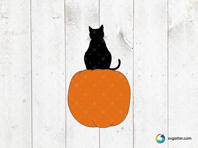 Black Cat on Pumpkin, Best for Halloween enthusiasts, best on t-shirt, best to be applied with heat transfer vinyl