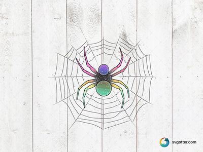 Colorful Spider on Web, Best for artist, best on wall art, best to be applied with print and cut