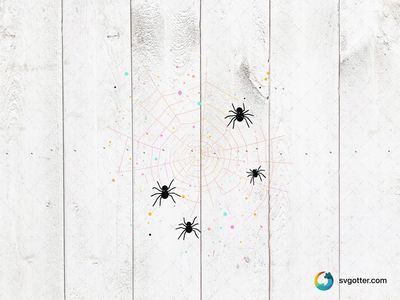 Colorful Spider Web, Best for artists, best on wall art, best to be applied with print and cut