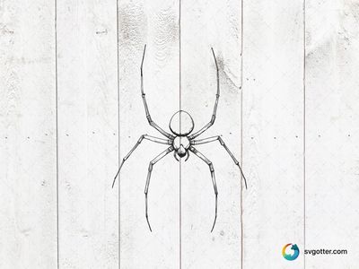 Detailed Spider Illustration, Best for nature enthusiasts, best on wall art, best to be applied with print and cut