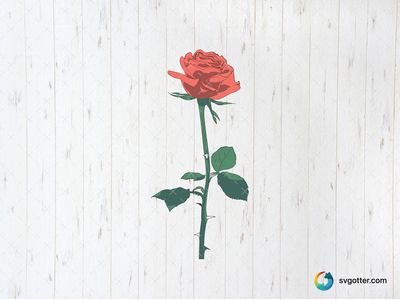Elegant Red Rose, Best for flower enthusiasts, best on wall art, best to be applied with print and cut