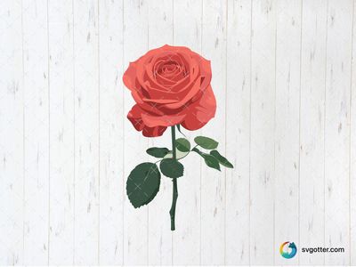 Elegant Rose Illustration, Best for flower enthusiasts, best on wall art, best to be applied with sublimation