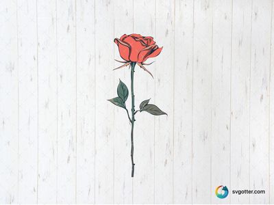 Elegant Rose Illustration, Best for gardeners, best on wall art, best to be applied with print and cut
