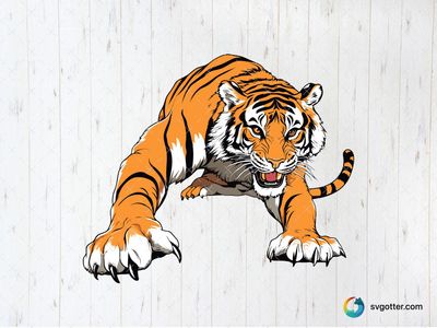 Fierce Tiger Illustration, Best for wildlife enthusiasts, best on t-shirt, best to be applied with screen printing