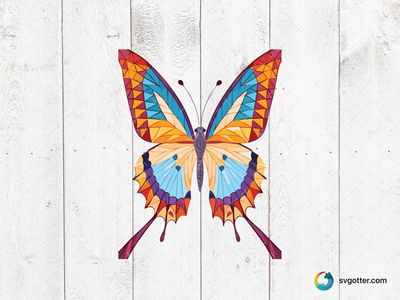 Geometric Colorful Butterfly, Best for artist, best on wall art, best to be applied with sublimation