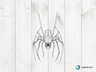 Geometric Spider Illustration, Best for artist, best on wall art, best to be applied with print and cut