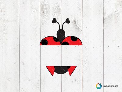 Heart Ladybug Birthday Design, Best for children, best on t-shirt, best to be applied with sublimation