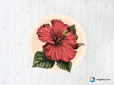 Hibiscus Flower Illustration, Best for gardeners, best on wall art, best to be applied with print and cut