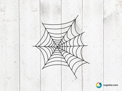 Intricate Spider Web, Best for halloween enthusiasts, best on wall art, best to be applied with decal application