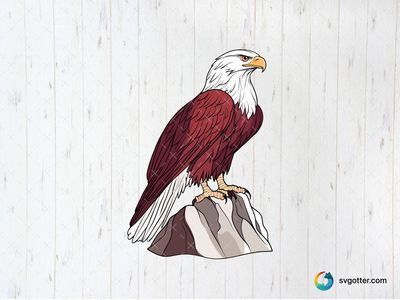 Majestic Eagle Illustration, Best for nature enthusiasts, best on wall art, best to be applied with print and cut