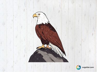 Majestic Eagle Illustration, Best for nature enthusiasts, best on wall art, best to be applied with print and cut