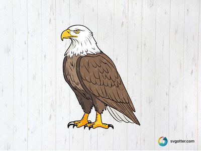 Majestic Eagle Illustration, Best for wildlife enthusiasts, best on wall art, best to be applied with print and cut
