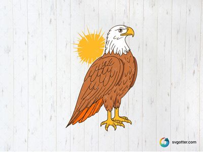 Majestic Eagle Illustration, Best for wildlife enthusiasts, best on wall art, best to be applied with print and cut
