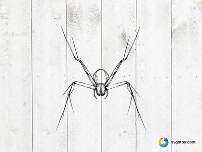 Minimalist Spider Sketch, Best for artists, best on wall art, best to be applied with print and cut