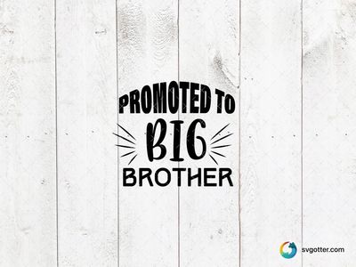 Promoted to Big Brother, Best for brother, best on t-shirt, best to be applied with heat transfer vinyl