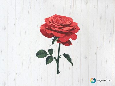 Red Rose Illustration, Best for gardeners, best on wall art, best to be applied with print and cut