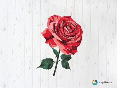 Red Rose Illustration, Best for flower enthusiasts, best on wall art, best to be applied with sublimation