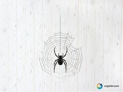 Spider on Web, Best for Halloween enthusiasts, best on wall art, best to be applied with decal application