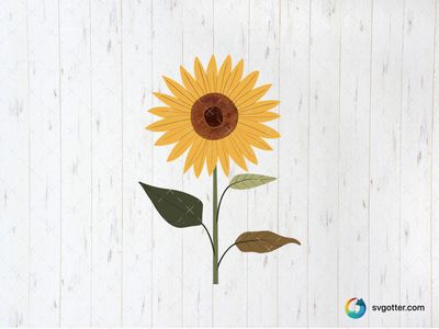 Sunflower Illustration, Best for gardeners, best on wall art, best to be applied with sublimation