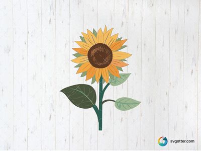 Sunflower Illustration, Best for gardeners, best on wall art, best to be applied with print and cut