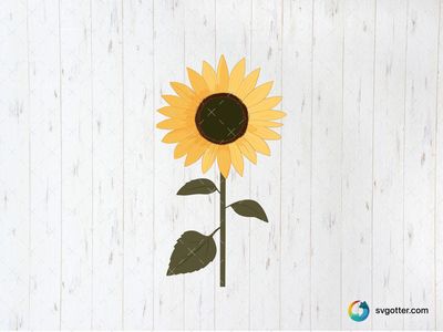 Sunflower Illustration, Best for nature lovers, best on wall art, best to be applied with sublimation
