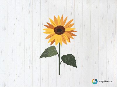 Sunflower Illustration, Best for nature lovers, best on wall art, best to be applied with print and cut