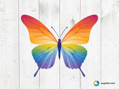 Vibrant Rainbow Butterfly, Best for nature lovers, best on wall art, best to be applied with sublimation