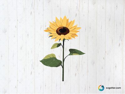 Vibrant Sunflower Illustration, Best for gardeners, best on wall art, best to be applied with sublimation