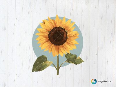 Vibrant Sunflower Illustration, Best for gardeners, best on wall art, best to be applied with sublimation