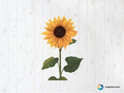Vibrant Sunflower Illustration, Best for gardeners, best on wall art, best to be applied with sublimation