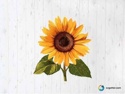 Vibrant Sunflower Illustration, Best for gardeners, best on wall art, best to be applied with sublimation