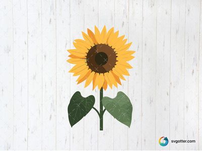 Vibrant Sunflower Illustration, Best for gardeners, best on wall art, best to be applied with sublimation